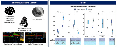 Comprehensive invasive evaluation of coronary microcirculation in patients with Takotsubo syndrome