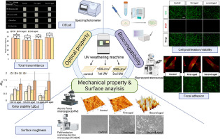 Effects of ultraviolet weathering aging on the color stability and biocompatibility of various computer-aided design and computer-aided manufacturing glass–ceramic materials