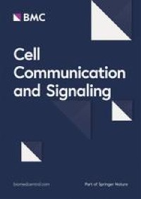 Unveiling the potential effects of acetylsalicylic acid: insights into regeneration in endometrial stem cells