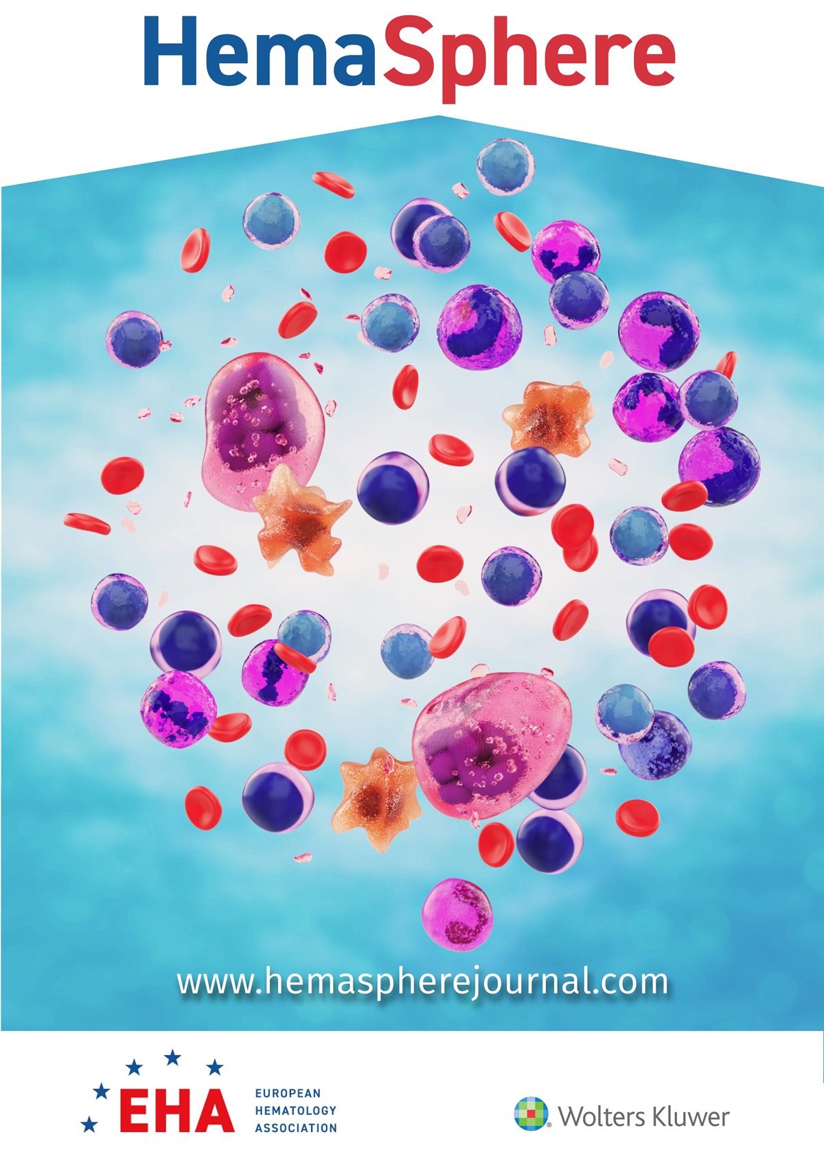 Correction Notice: Inferior Outcomes of EU Versus US Patients Treated With CD19 CAR-T for Relapsed/Refractory Large B-cell Lymphoma: Association With Differences in Tumor Burden, Systemic Inflammation, Bridging Therapy Utilization, and CAR-T Product Use