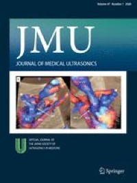 Non-mass lesions of the breast: contribution of elastography and microvascular imaging and the need for standardization of terminology