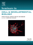 Emerging roles of DNA repair factors in the stability of centromeres
