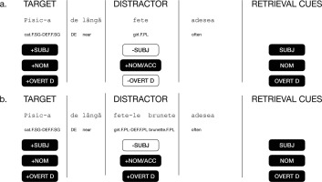 Romanian (subject-like) DPs attract more than bare nouns: Evidence from speeded continuations