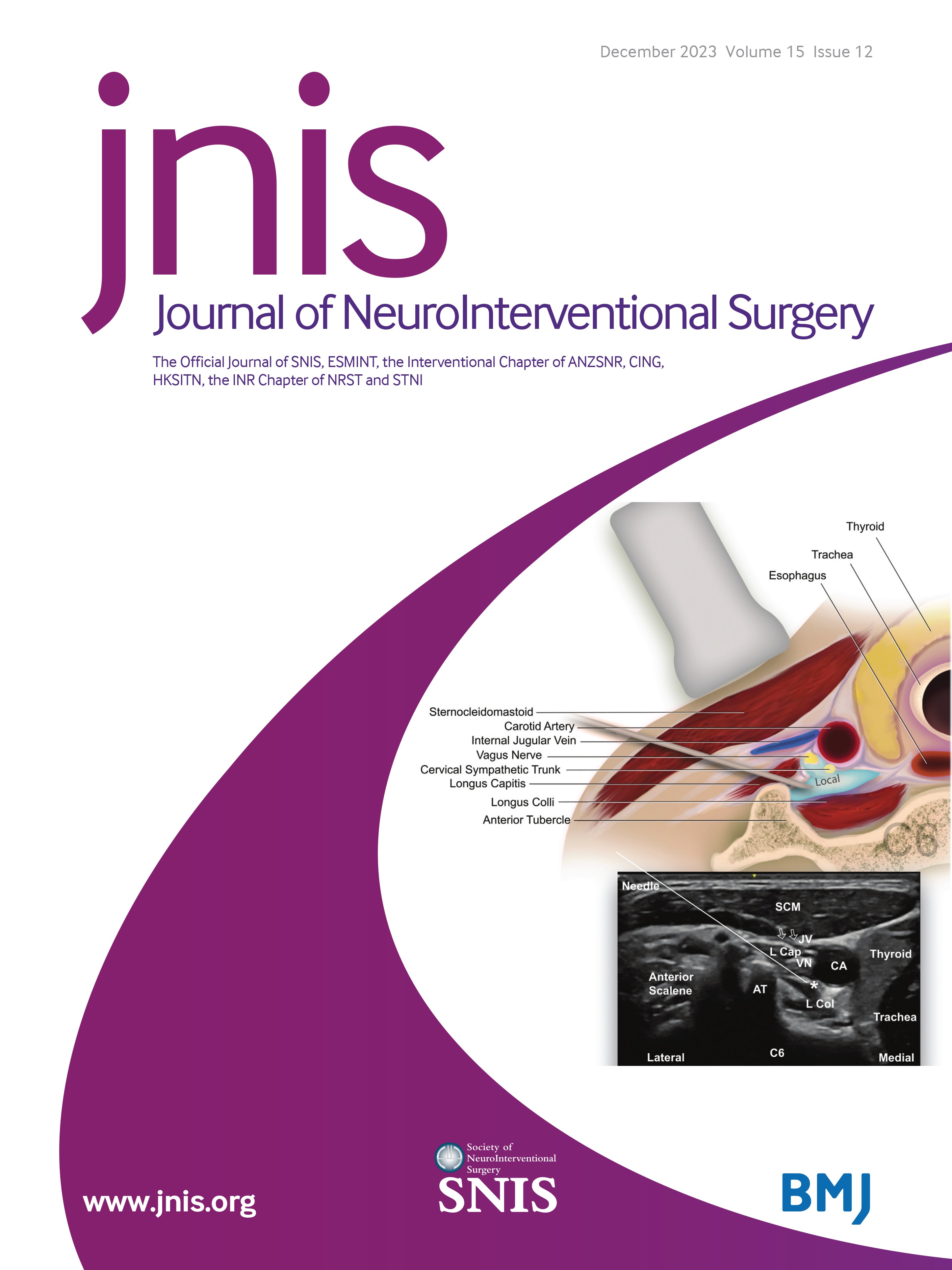 Health inequities and socioeconomic factors predicting the access to treatment for unruptured intracranial aneurysms in the USA in the last 20 years: interaction effect of race, gender, and insurance