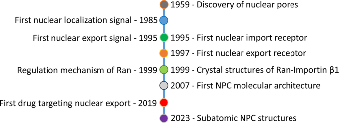 Nuclear transport proteins: structure, function, and disease relevance