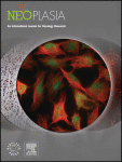 Evidence based on Mendelian randomization: Causal relationship between mitochondrial biological function and lung cancer and its subtypes