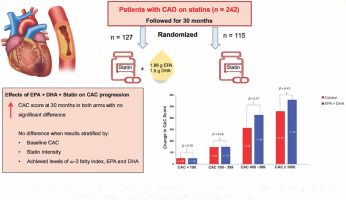 Eicosapentaenoic and docosahexaenoic acid supplementation and coronary artery calcium progression in patients with coronary artery disease: A secondary analysis of a randomized trial