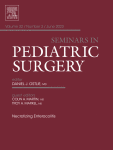 The Global Challenges of Surgical Congenital Anomalies: Evidence, Models, and Lessons