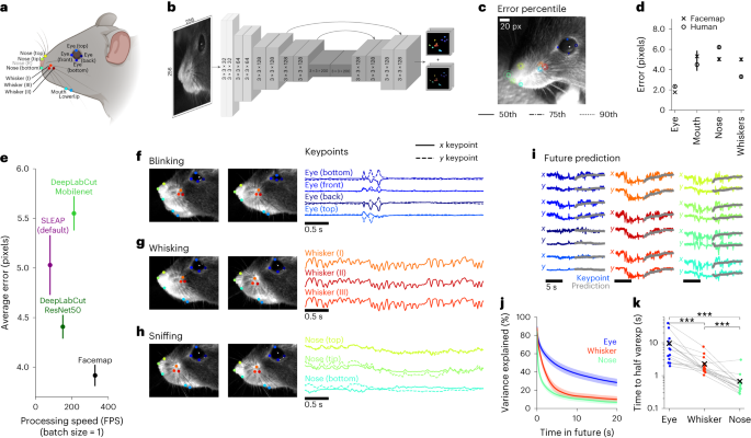 Facemap: a framework for modeling neural activity based on orofacial tracking