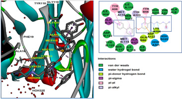 Fragment databases from screened ligands for drug discovery (FDSL-DD)