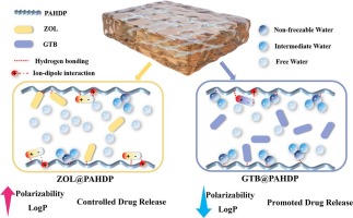 Mussel-inspired controllable drug release hydrogel for transdermal drug delivery: Hydrogen bond and ion-dipole interactions