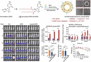 Lipid-like gemcitabine diester-loaded liposomes for improved chemotherapy of pancreatic cancer