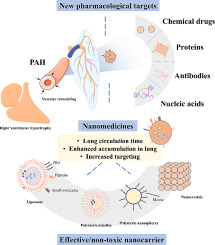 Pulmonary arterial hypertension nanotherapeutics: New pharmacological targets and drug delivery strategies