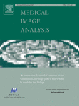 A knowledge-interpretable multi-task learning framework for automated thyroid nodule diagnosis in ultrasound videos