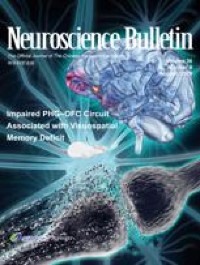 Multisensory Conflict Impairs Cortico-Muscular Network Connectivity and Postural Stability: Insights from Partial Directed Coherence Analysis