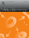 USP7 promotes decidualization of ESCs by STAT3/PR axis during early pregnancy