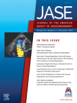 In situ Transesophageal Echocardiography During Electrical Cardioversion in Patients with Atrial Fibrillation – Safety and Echocardiographic Findings