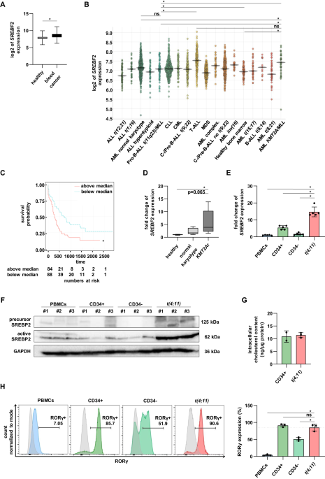 The RORɣ/SREBP2 pathway is a master regulator of cholesterol metabolism and serves as potential therapeutic target in t(4;11) leukemia