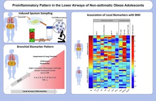 Proinflammatory pattern in the lower airways of non-asthmatic obese adolescents