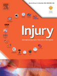 Risk factors for prosthetic joint infections after hemiarthroplasty of the hip following a femoral neck fracture