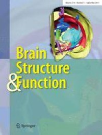 Relative contribution of lateral vestibular neuron and abducens internuclear neuron inputs to the discharge activity of medial rectus motoneurons