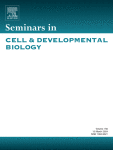 The implications of physiological biomolecular condensates in amyotrophic lateral sclerosis