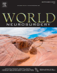 Effects of Valproic Acid Therapy on Rats with Spinal Cord Injury: A Systematic Review and Meta-Analysis