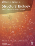 Integrative approaches for characterizing protein dynamics: NMR, CryoEM, and computer simulations