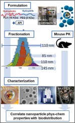 Impact of the physical-chemical properties of poly(lactic acid)–poly(ethylene glycol) polymeric nanoparticles on biodistribution